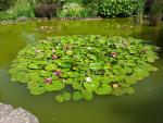 20140609_154440_t1.jpg