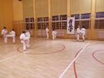 na_stone_karate05_t1.jpg