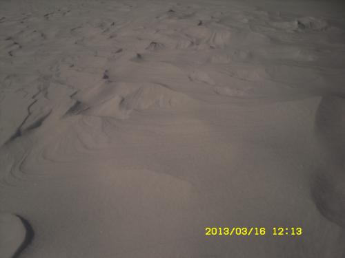 sdc13339.jpg